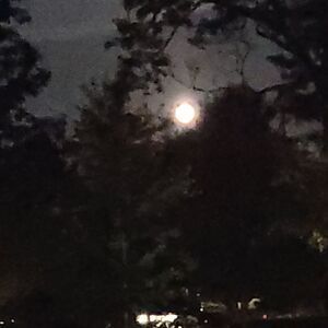 This appears‎ to be a nature/landscape photo rather than a product listing